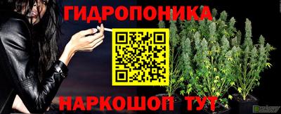 трава Донской