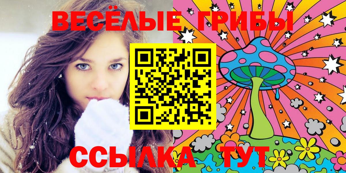Псилоцибиновые грибы Cubensis Мичуринск